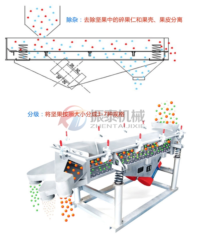 玉米芯粉直线成人在线看片地址原理